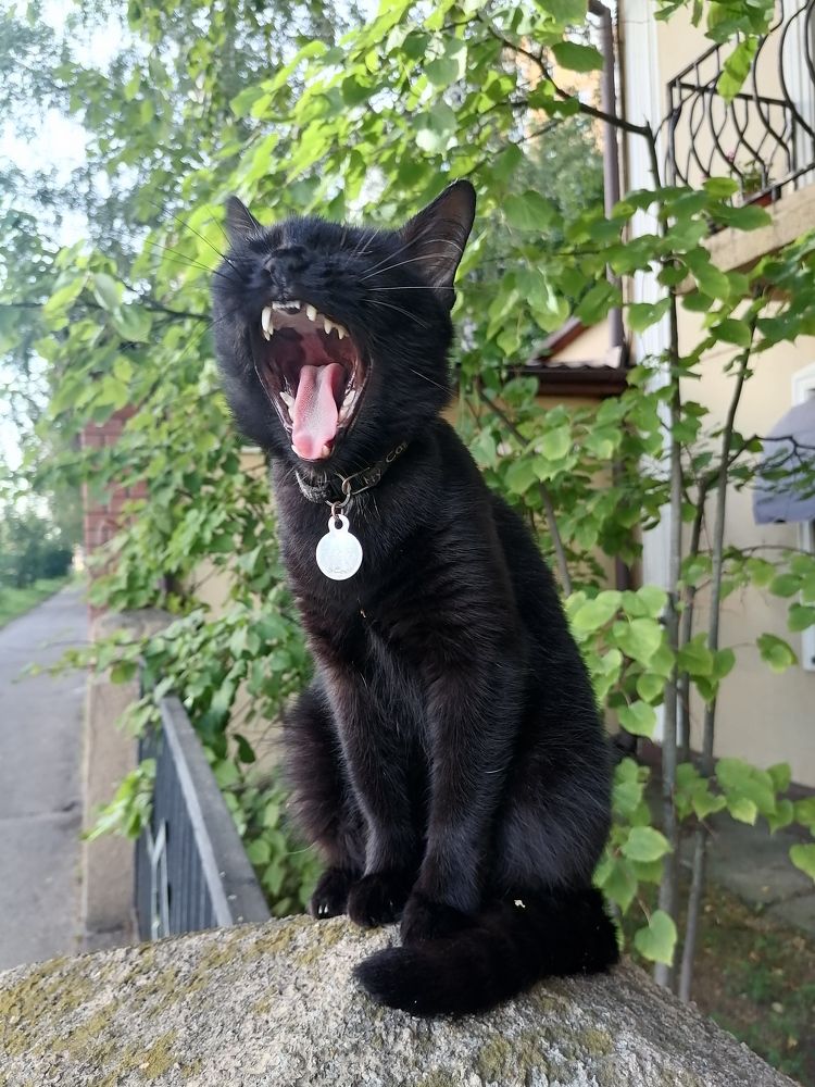 Photograph by Елена Степанкина