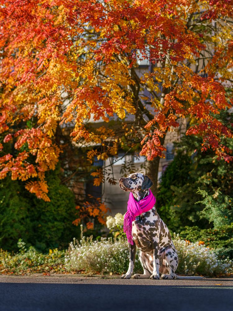 Photograph by Владимир Лиепин