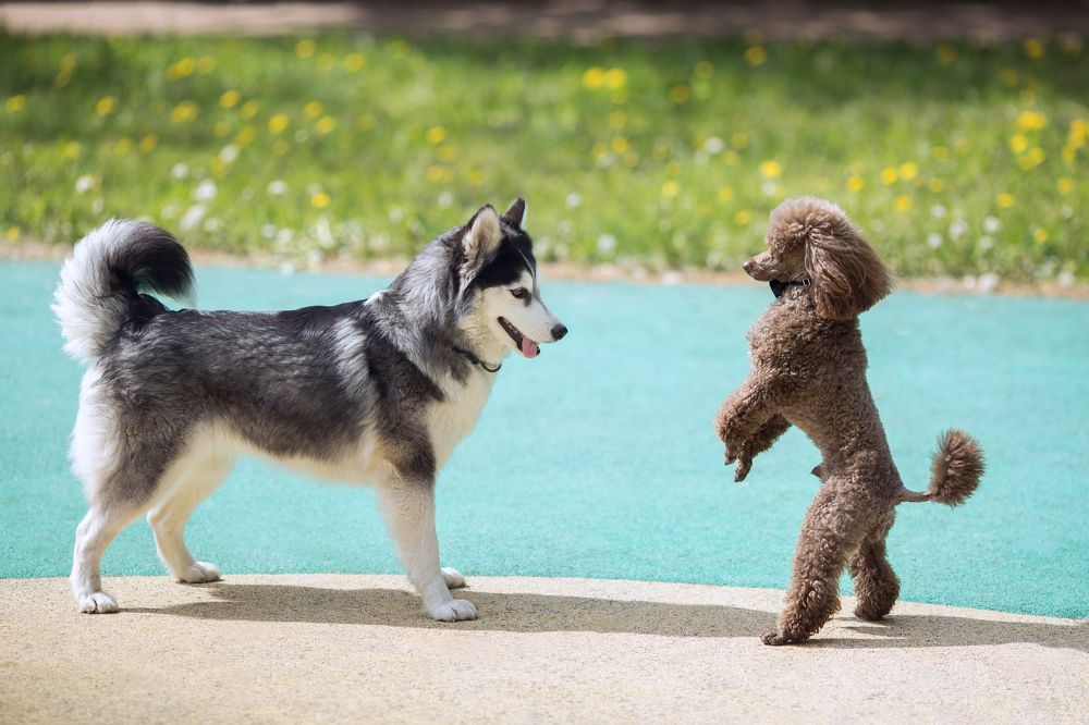 Photograph by Наталья Парфенова