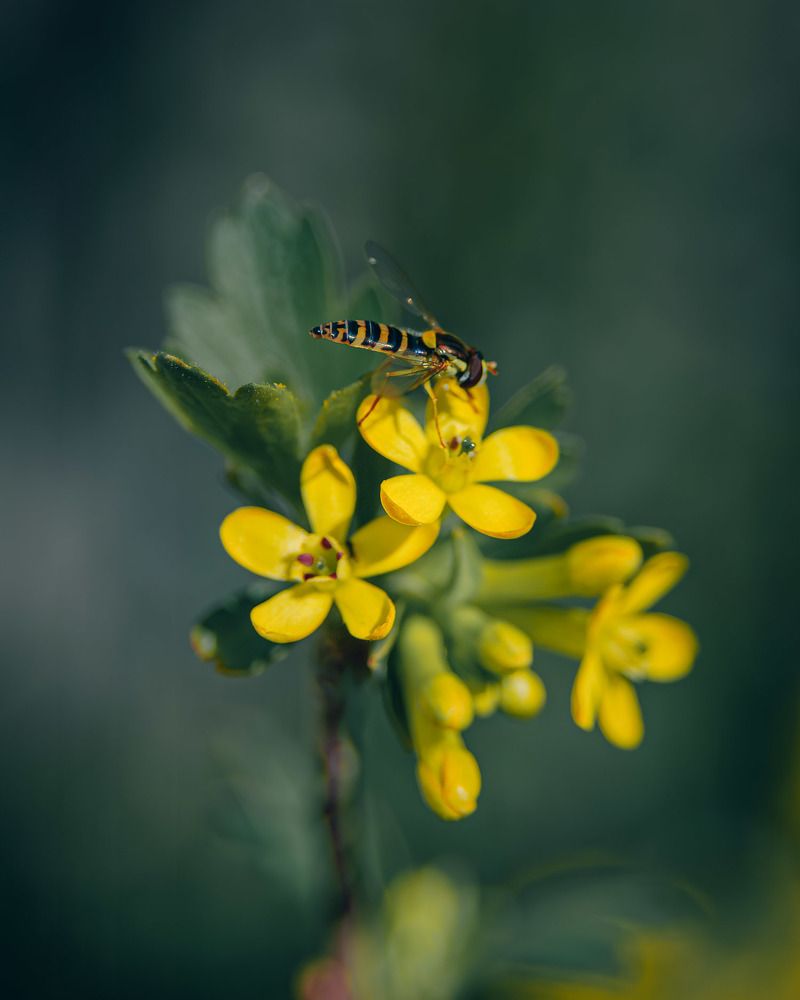 Фотография автора Сергей Рыженко