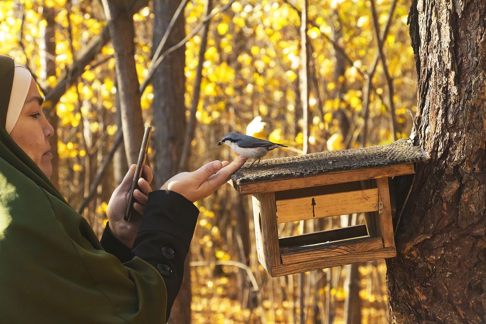 Photograph by Алексей Патлах