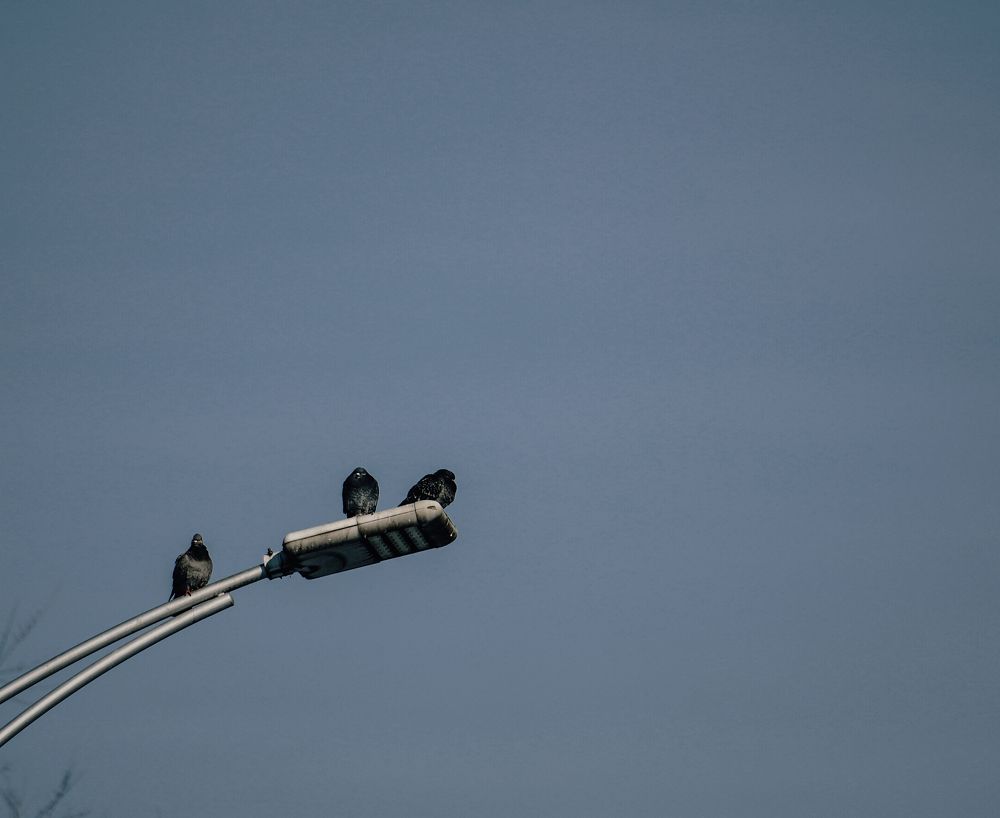 Присели отдохнуть