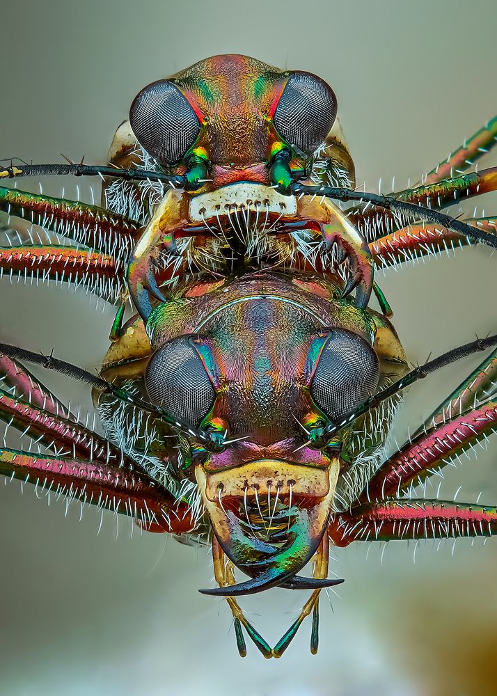 Photograph by Tran The Ngoc