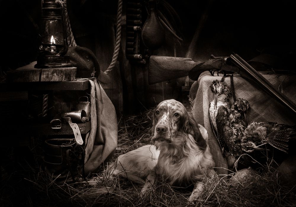 Photograph by Александр Чибиркин