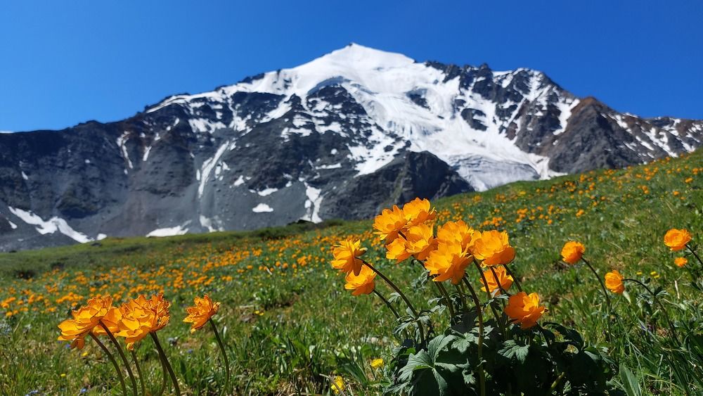 Photograph by Наталья Сосницкая