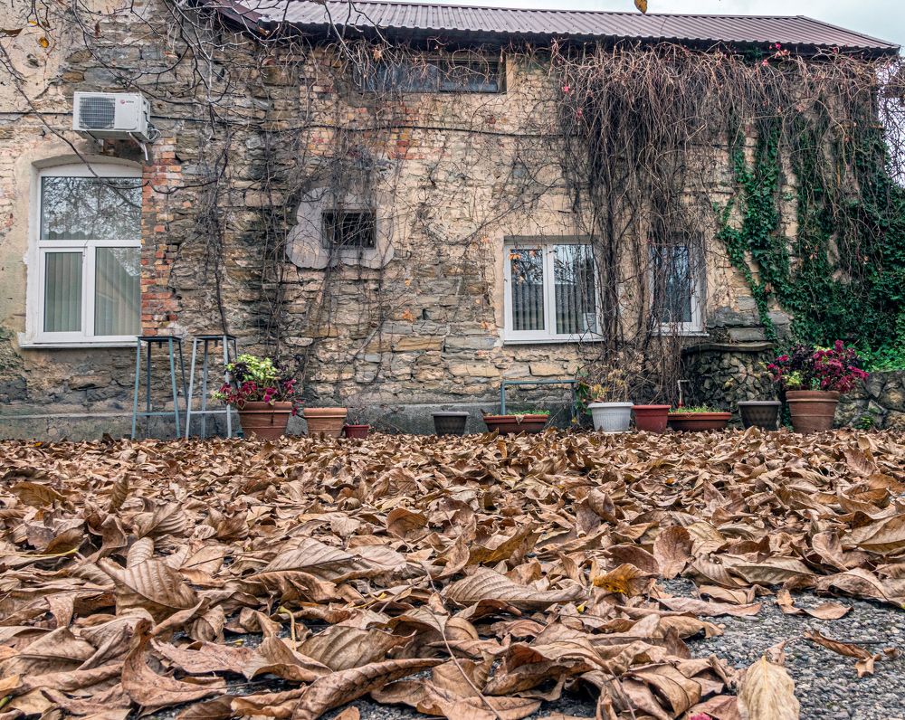 Photograph by Сергей Христинич