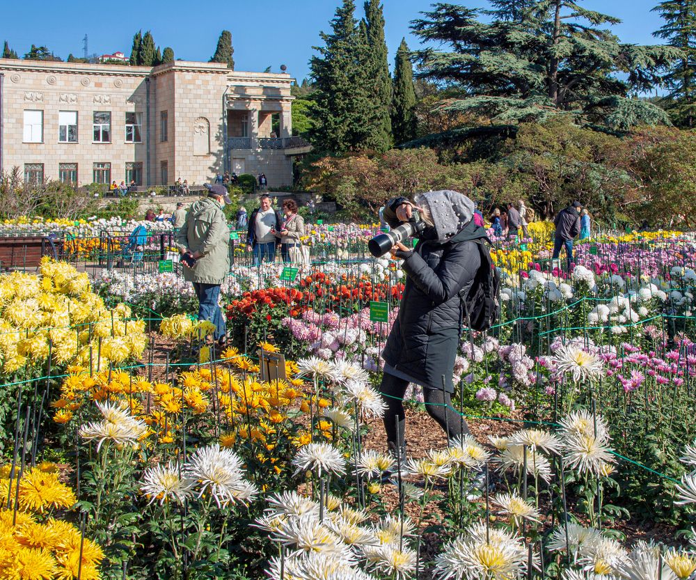 Photograph by Сергей Христинич