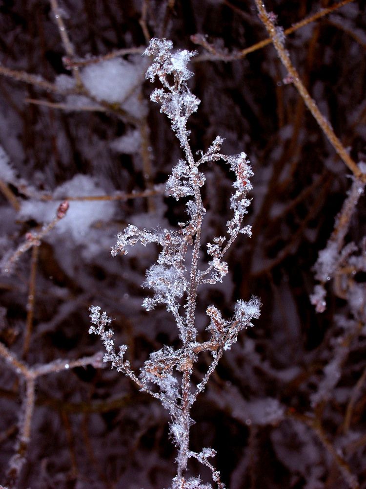 Photograph by Александра Коновалова