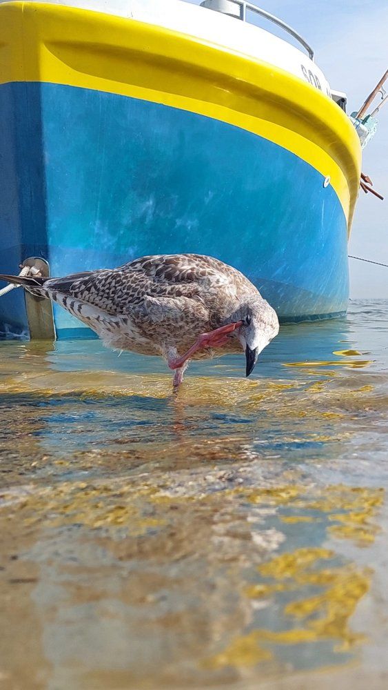 Photograph by Svitlana Usatenko