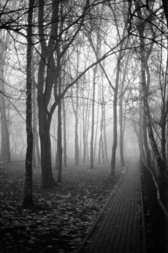 около Космоса