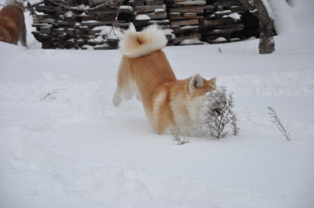 Photograph by Наталья Корнеева