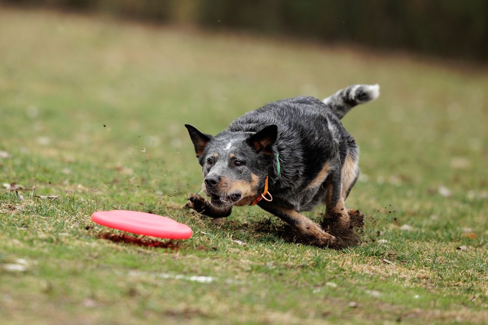 Photograph by Илья Юфа
