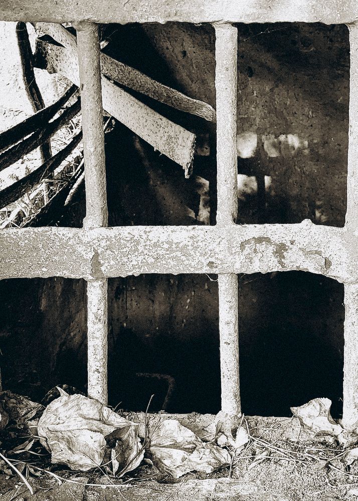 Фотография автора Ольга Дубалеко