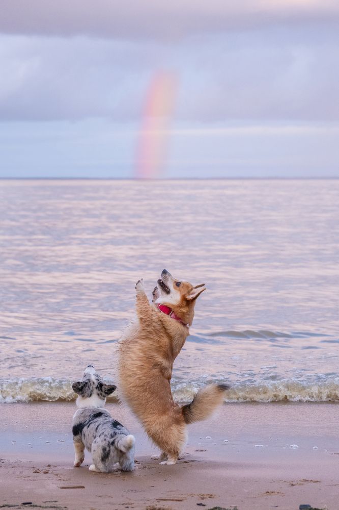 Photograph by Александра Ладыгина