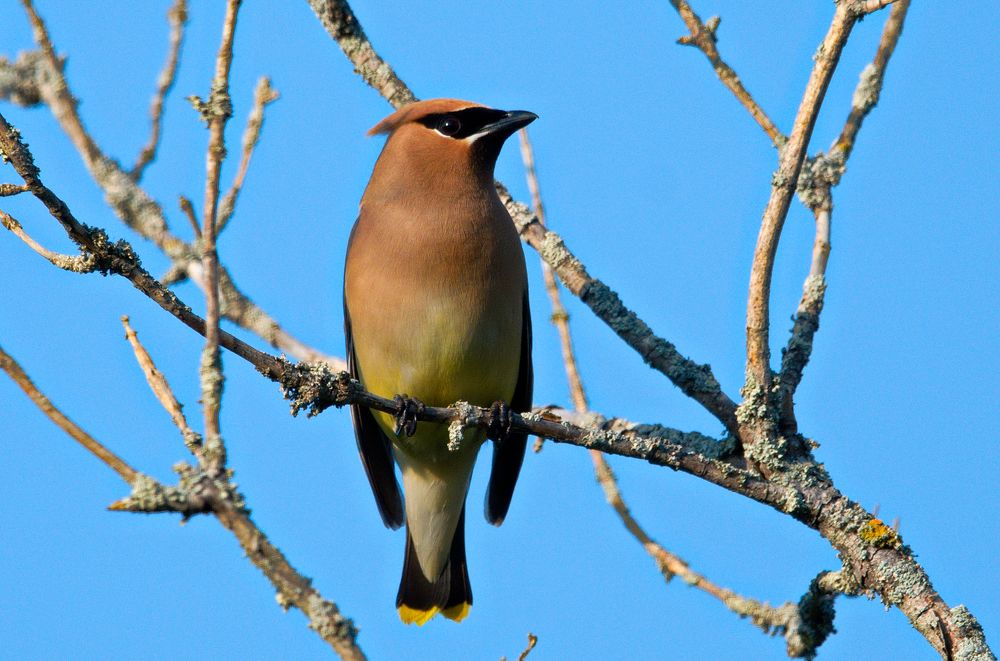 Photograph by Ken Oliver