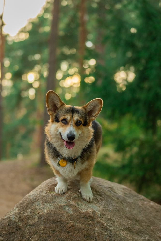 Photograph by Александра Ладыгина