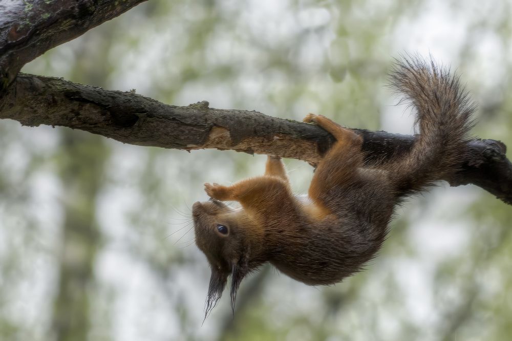 Photograph by Александр К