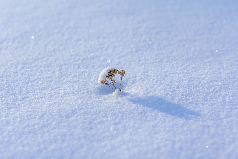 Photograph by Кутний Игорь