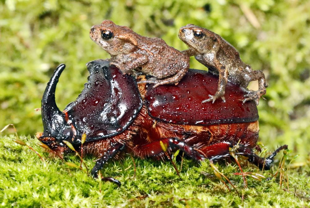 Photograph by Сергей Маслов