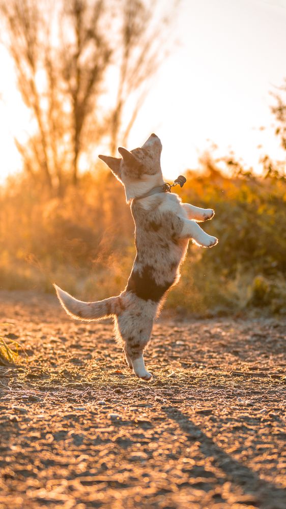 Photograph by Александра Ладыгина