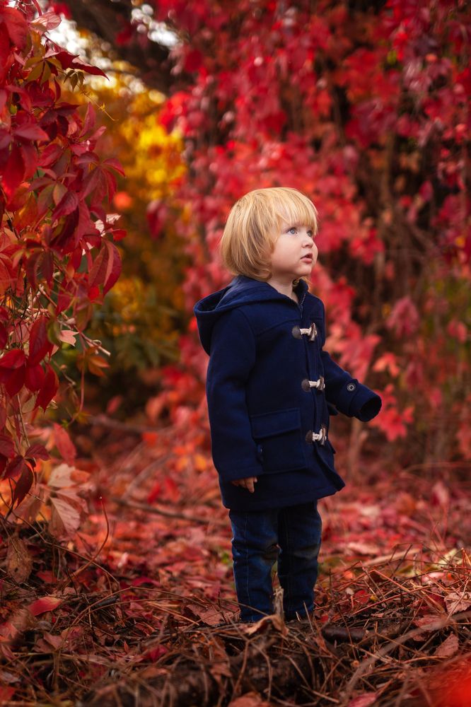 Фотография автора Анна Говорухина