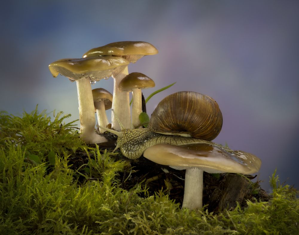 Фотография автора Черновол Валентин