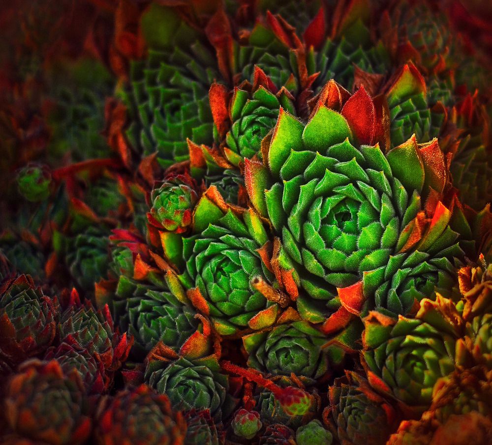 Photograph by Farzad Ajori