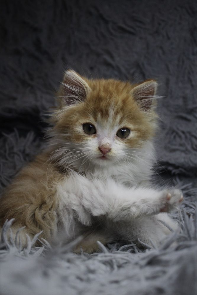 Photograph by Alina Kochneva