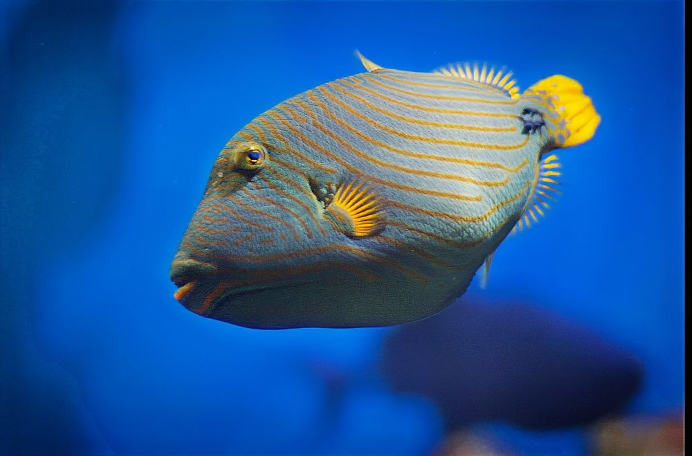 -... ну да, не смешно. -... well, yes, it's not funny.