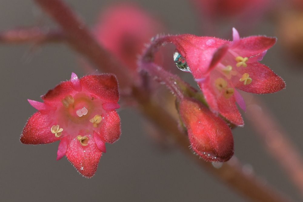 Фотография автора Владимир Пронин