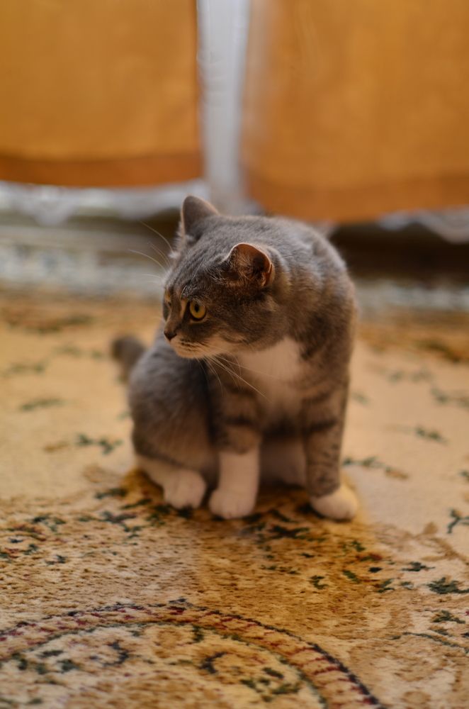 Photograph by Александра Пестина