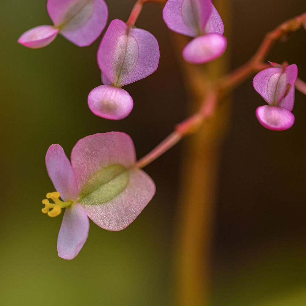 Фотография автора Владимир Пронин