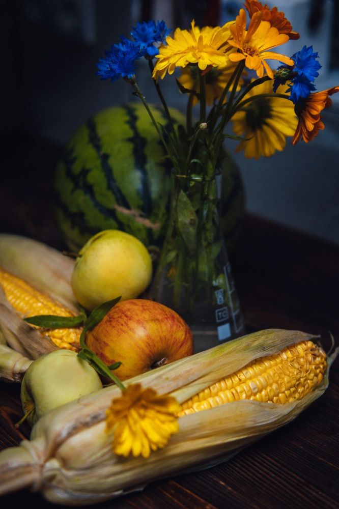 Photograph by Екатерина Степоненкова