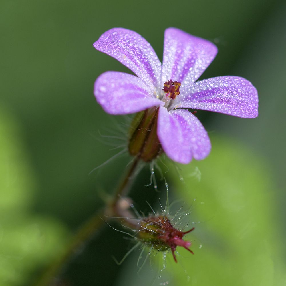 Фотография автора Владимир Пронин