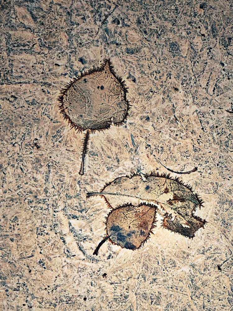 Photograph by Наталья Сережко