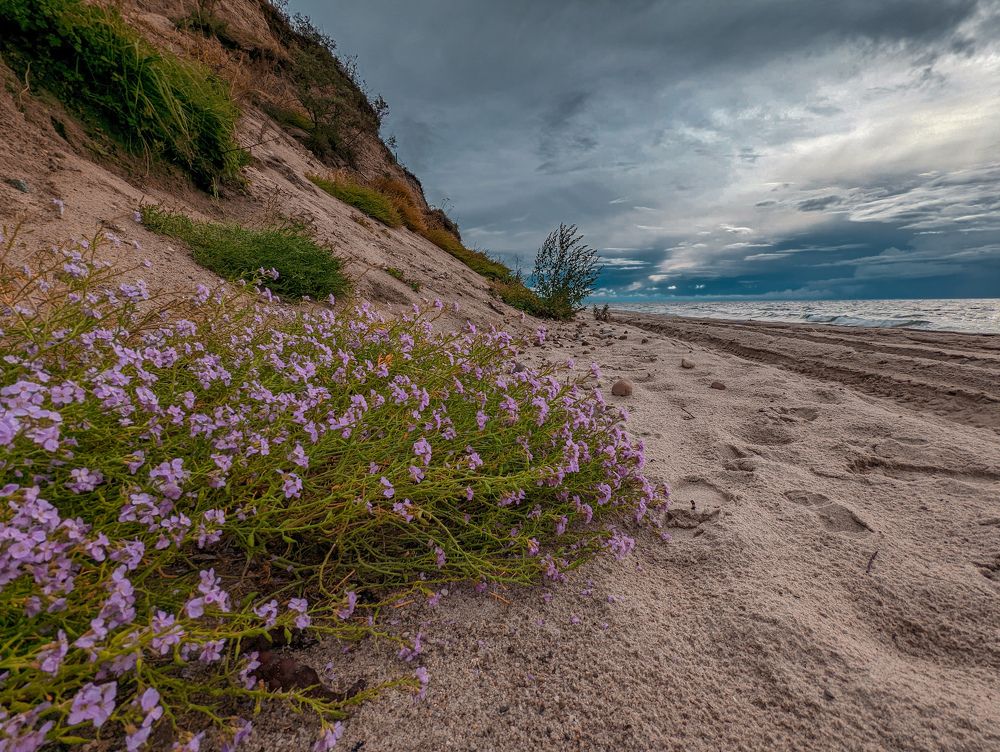 Photograph by Елизавета Коровина