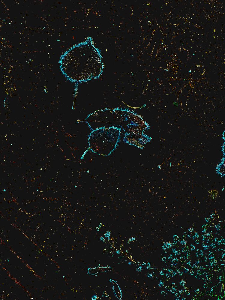 Photograph by Наталья Сережко