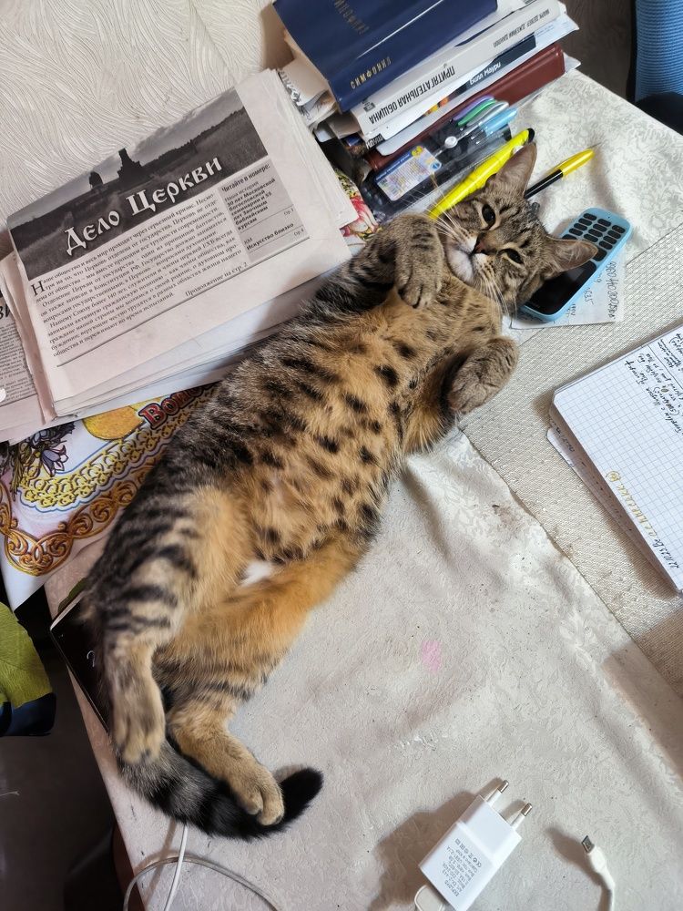 I offer help in taking notes...