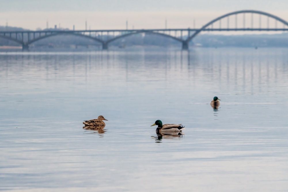 Photograph by Александр Колляков