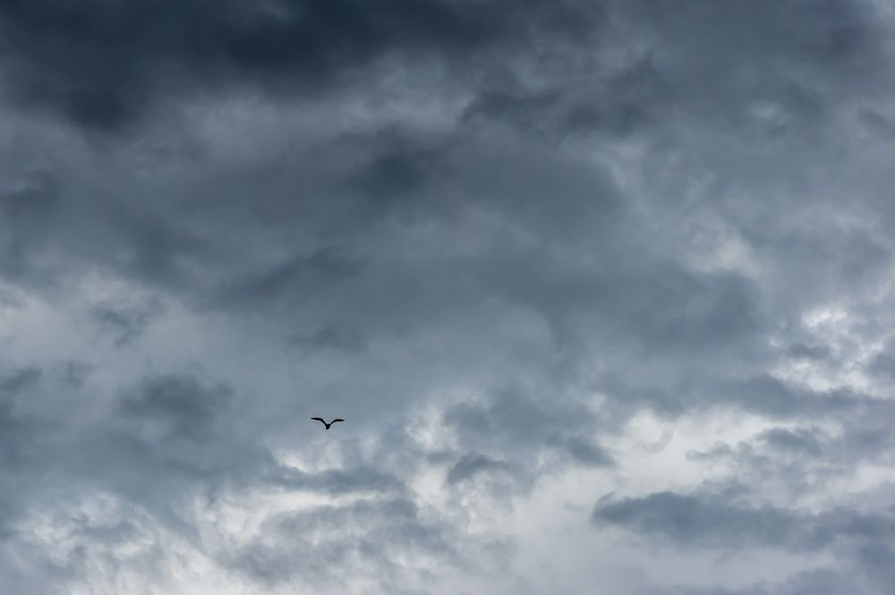 Photograph by Александр Колляков