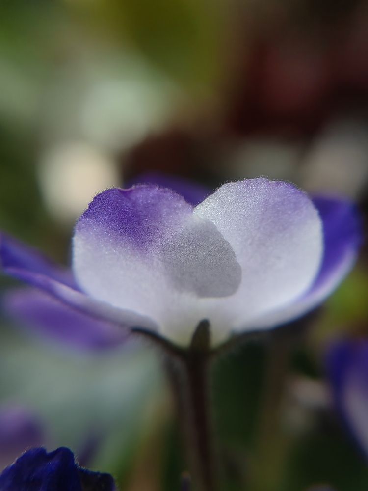 Photograph by Полина Мальцева