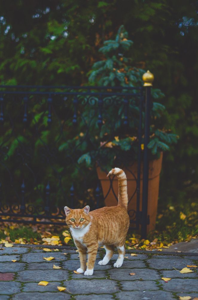 Photograph by Александра Пестина