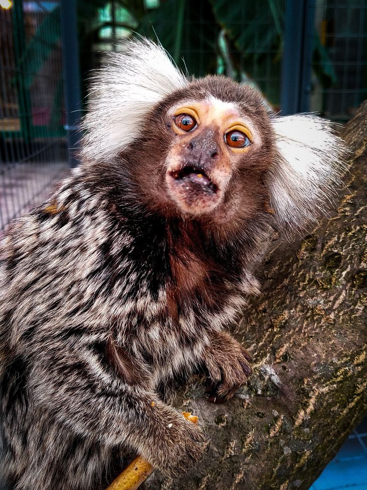 Photograph by Роман