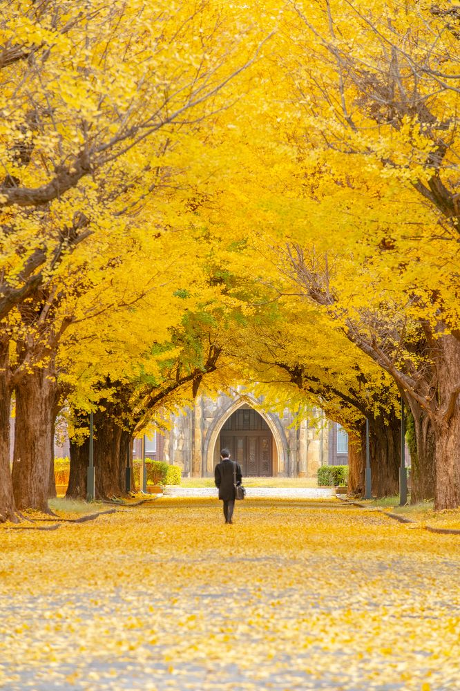 Photograph by Long Phùng Minh