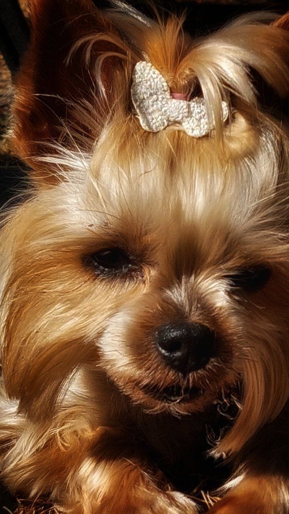 Photograph by Svitlana Usatenko