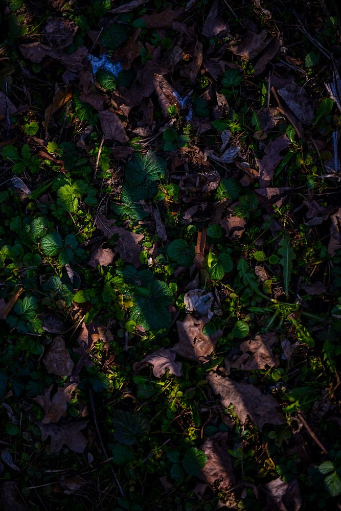 Photograph by Алиса Никитина
