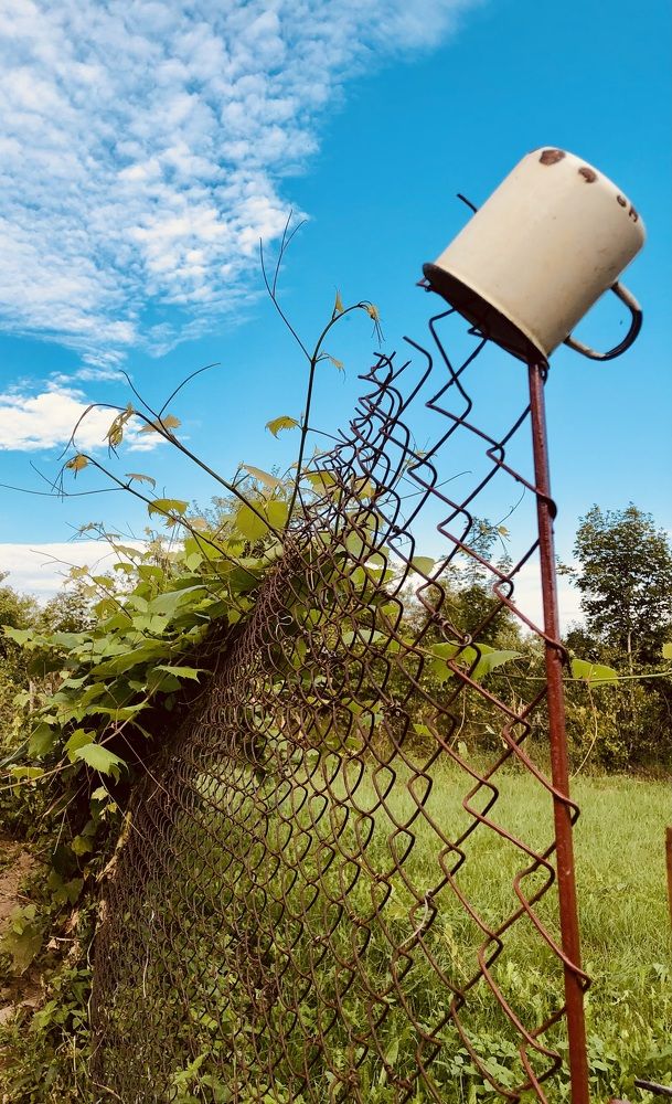 Photograph by Олеся Семёнова