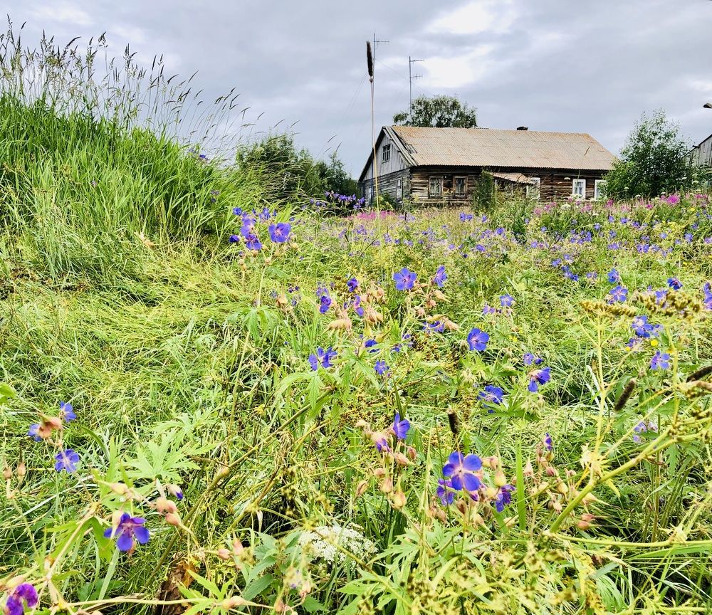 Photograph by Олеся Семёнова