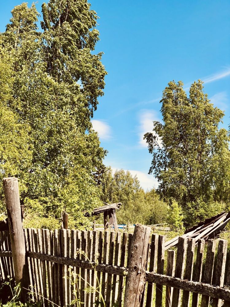 Photograph by Олеся Семёнова