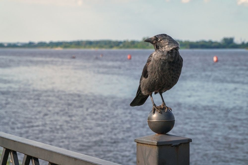 Photograph by Александр Колляков